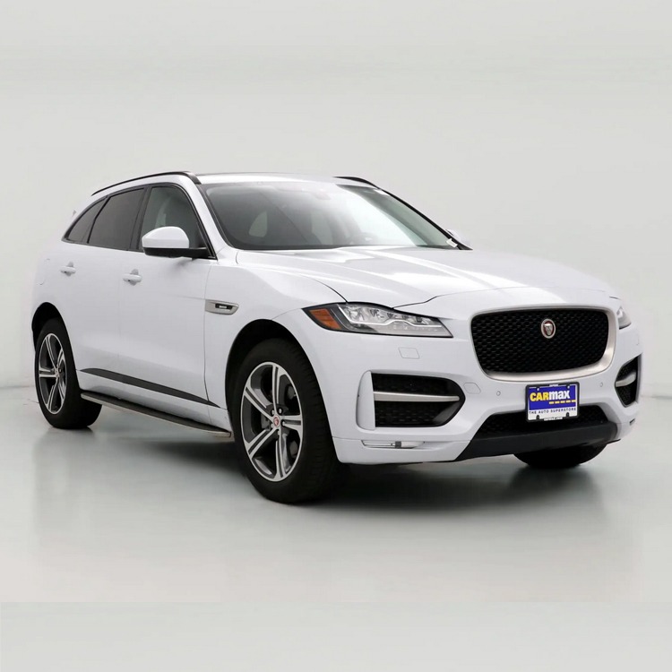 jaguar